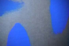 flur (14)